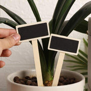 20Pcs Tableau noir créatif en bois pour plantes de pépinière - Étiquettes de pot