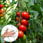 1.8x5m Filet à Grimper pour Plantes de Jardin - Tomates - Vigne - Grande Grille